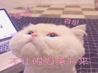 苏州惠聚家电子商务有限公司