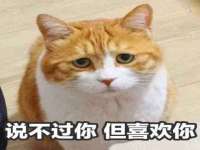 苏州惠聚家电子商务有限公司