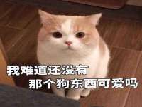 苏州惠聚家电子商务有限公司