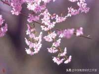 苏州惠聚家电子商务有限公司