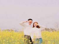 苏州惠聚家电子商务有限公司