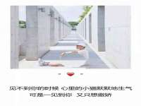 苏州惠聚家电子商务有限公司