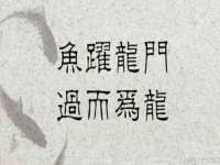 苏州惠聚家电子商务有限公司