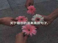 苏州惠聚家电子商务有限公司