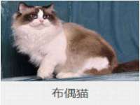苏州惠聚家电子商务有限公司