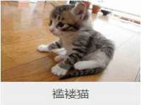 苏州惠聚家电子商务有限公司