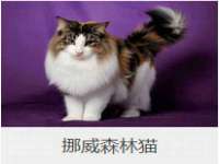 苏州惠聚家电子商务有限公司