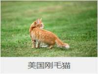 苏州惠聚家电子商务有限公司