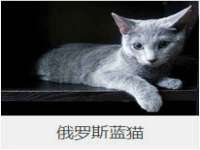 苏州惠聚家电子商务有限公司