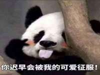 苏州惠聚家电子商务有限公司