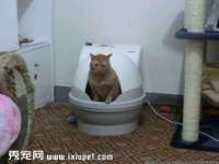 苏州惠聚家电子商务有限公司