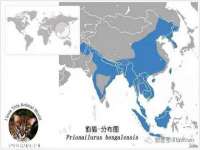 苏州惠聚家电子商务有限公司