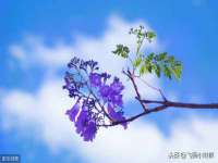 苏州惠聚家电子商务有限公司