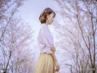 苏州惠聚家电子商务有限公司