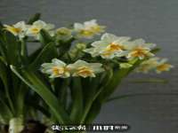 苏州惠聚家电子商务有限公司