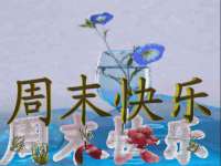 苏州惠聚家电子商务有限公司