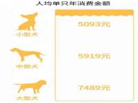 苏州惠聚家电子商务有限公司