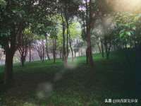 苏州惠聚家电子商务有限公司