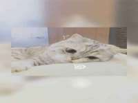 苏州惠聚家电子商务有限公司