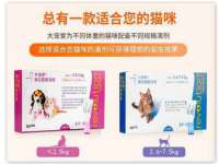 苏州惠聚家电子商务有限公司