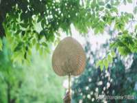 苏州惠聚家电子商务有限公司