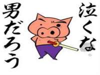 苏州惠聚家电子商务有限公司