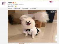 苏州惠聚家电子商务有限公司