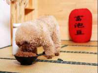 苏州惠聚家电子商务有限公司