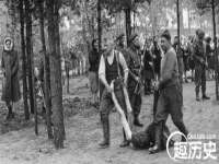 苏州惠聚家电子商务有限公司