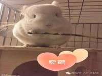 苏州惠聚家电子商务有限公司