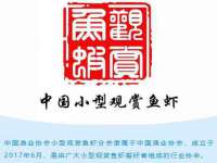 苏州惠聚家电子商务有限公司