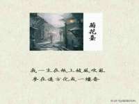 苏州惠聚家电子商务有限公司