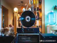 苏州惠聚家电子商务有限公司