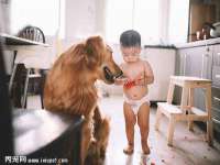 苏州惠聚家电子商务有限公司