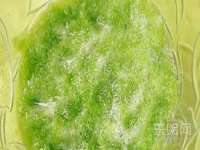 苏州惠聚家电子商务有限公司