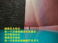 苏州惠聚家电子商务有限公司