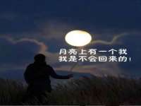 苏州惠聚家电子商务有限公司