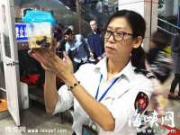 苏州惠聚家电子商务有限公司