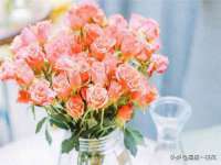 苏州惠聚家电子商务有限公司