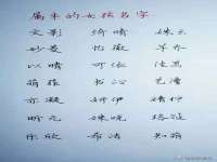苏州惠聚家电子商务有限公司